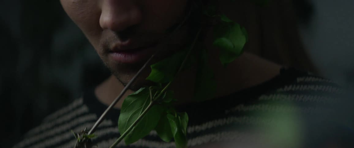 Man stands still as leaves drag across his face