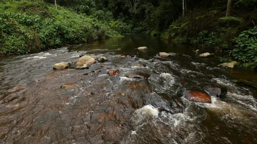 A river through a green area