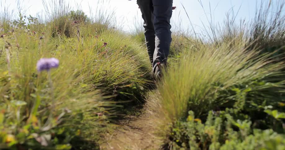 A man is walking across a small trail on a cloudy day