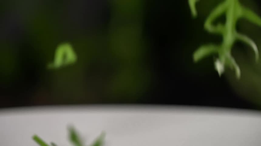 Arugula falling in to a bowl