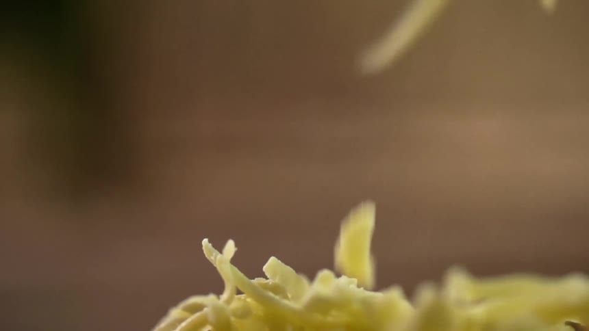Shredded cheese falling down