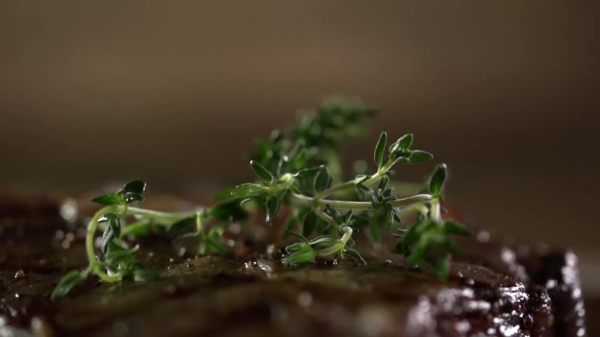 Green herbs sit atop a piece of cooked meat