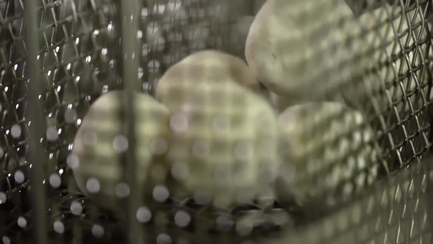 Food being dropped in the basket of a deep fryer