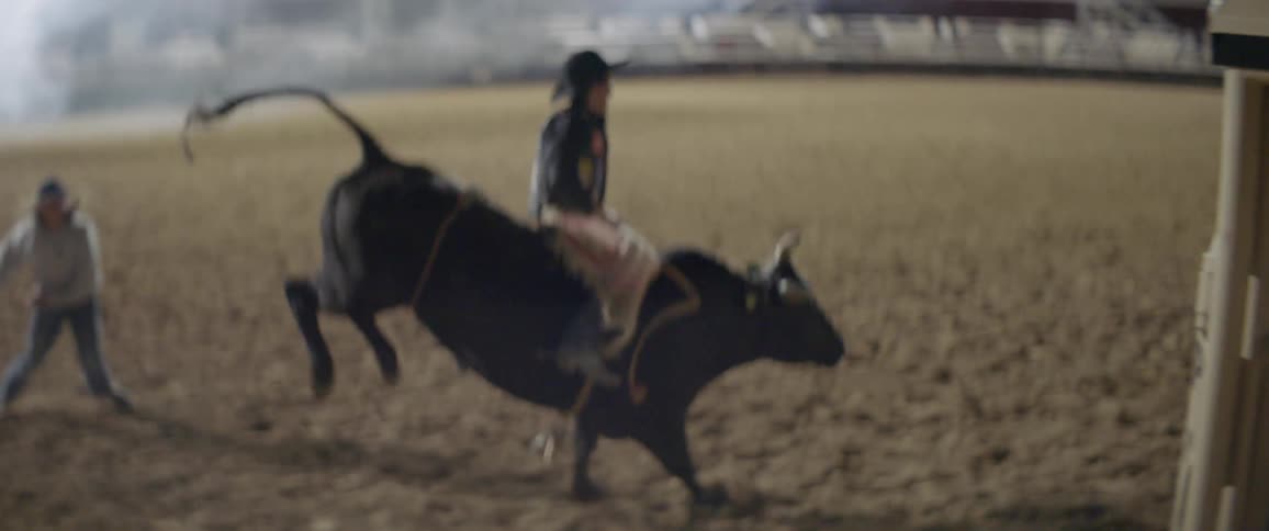 A bull rider rides for a bit before getting thrown off