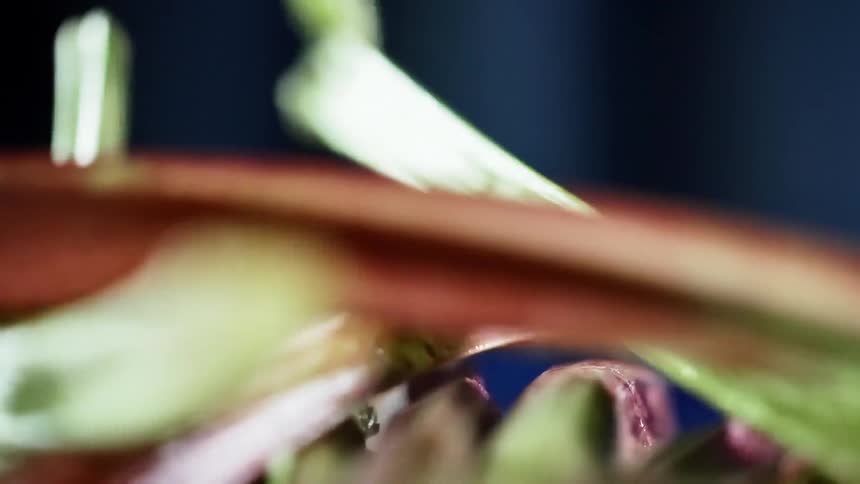 Close up of chopped green vegetables dropping over the table