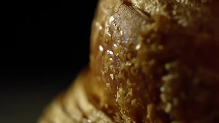 Bits of grain cover a bread pastry