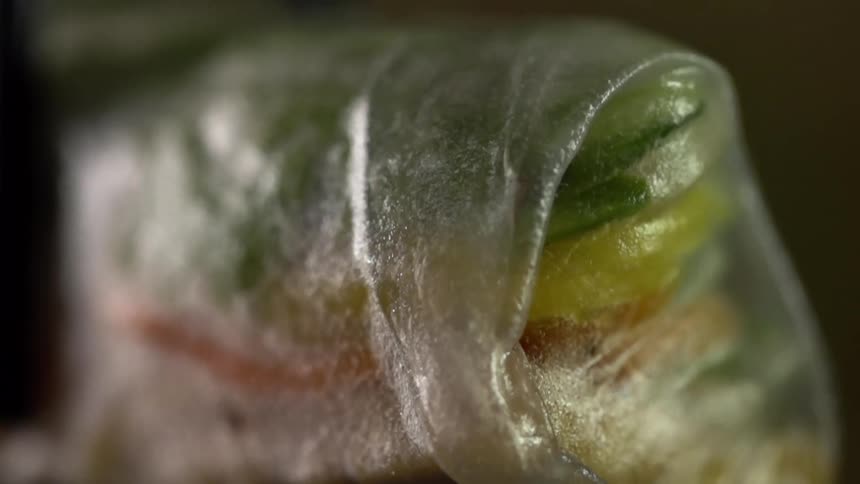 Vegetarian food in a translucent wrapper