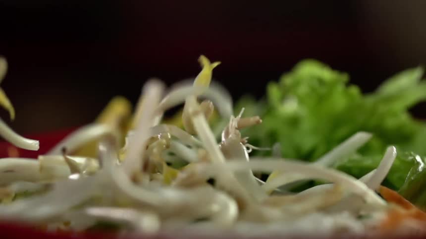 Bean sprouts drop on a red plate