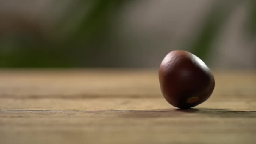 A piece of food spins on a wooden table