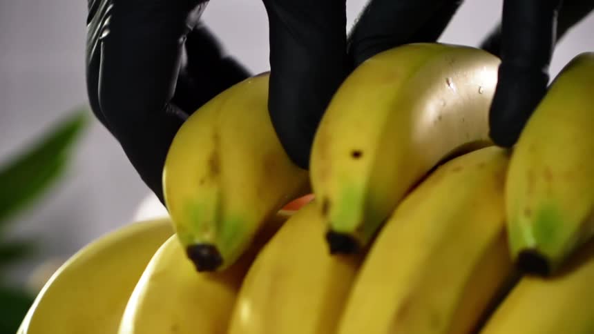 Cook with black gloves takes a banana from a bunch of bananas