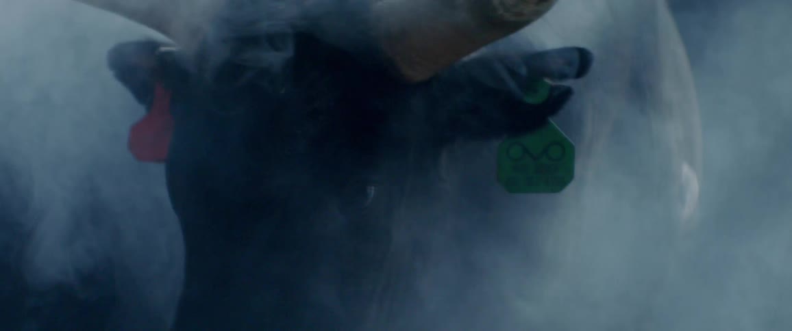 Smoke is drifting past a bull in a pen