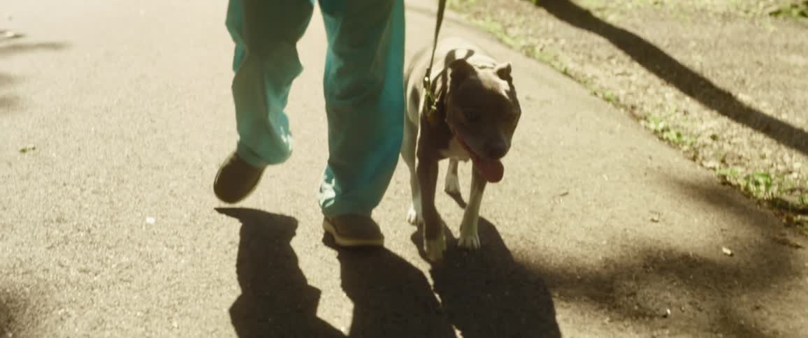 Man wearing bandana around neck walks dog on leash along street in neighborhood