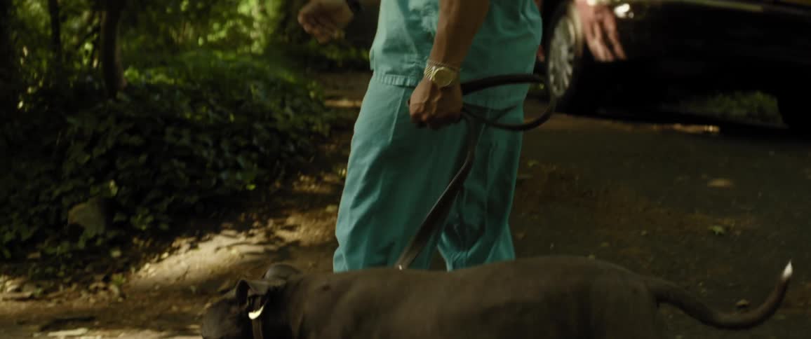 A man walks his dog past the house