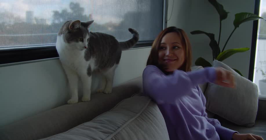 A cat sits on the backrest of a couch as its female owner looks up from her laptop to pet it