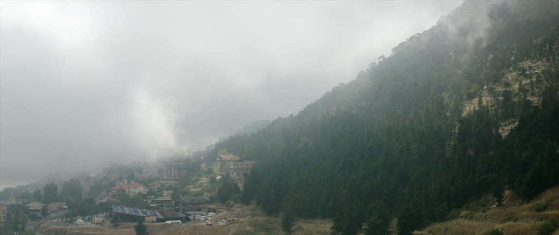 Fog covers a hillside town