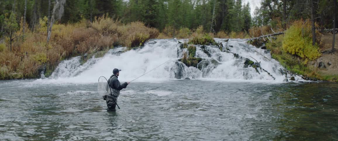 Man fishes in a forest river
