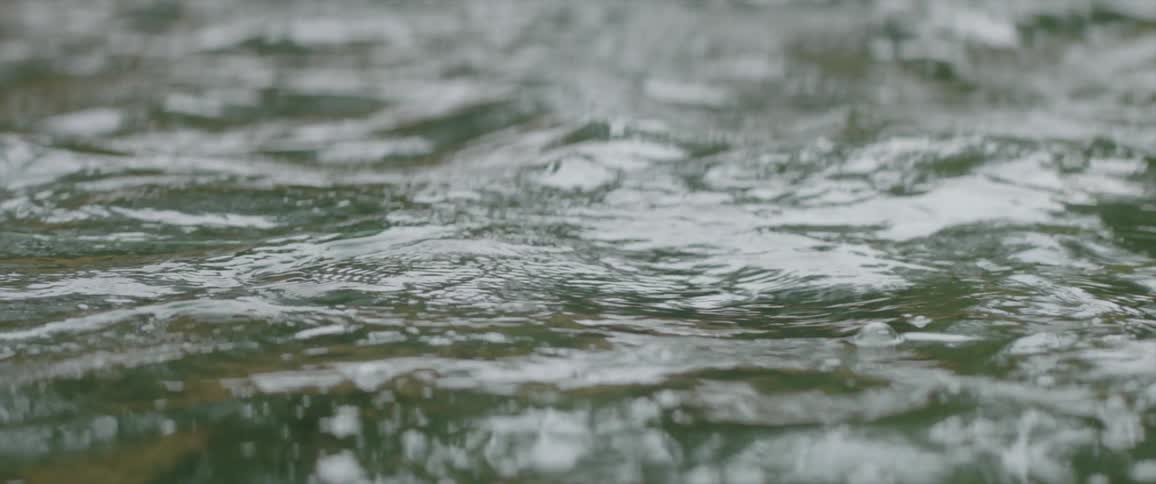 The waters splash around in the stream