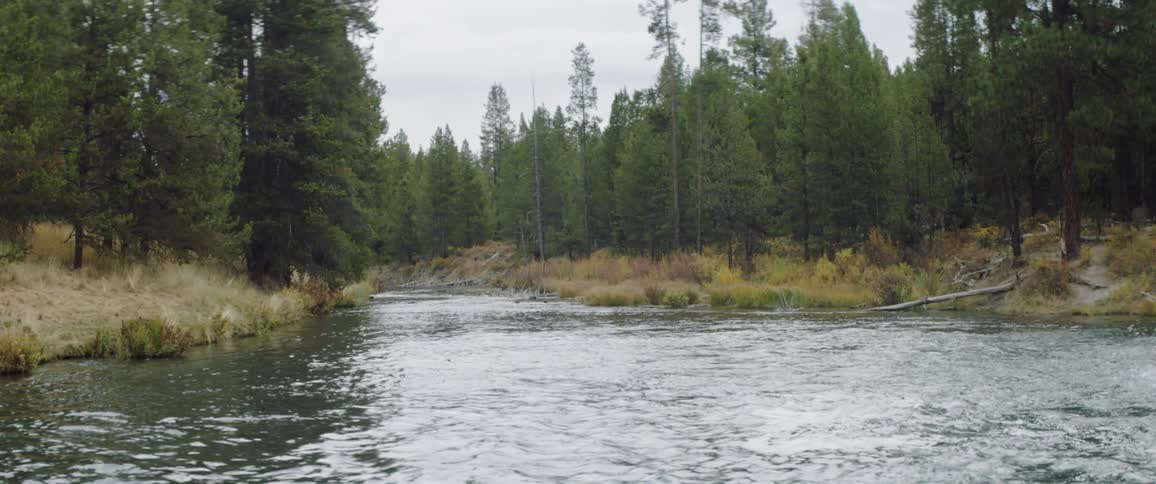 A river is running through a forest under cloudy skies