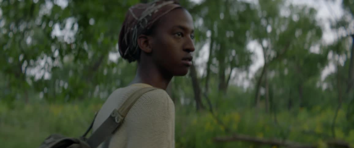 A person walking through the forest