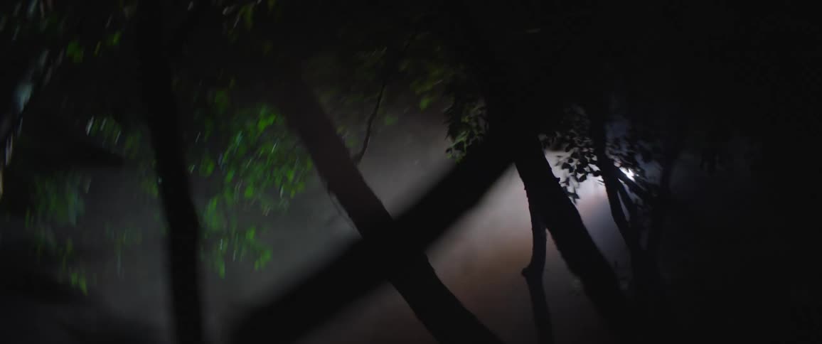 People are frantically searching through the woods with a flashlight