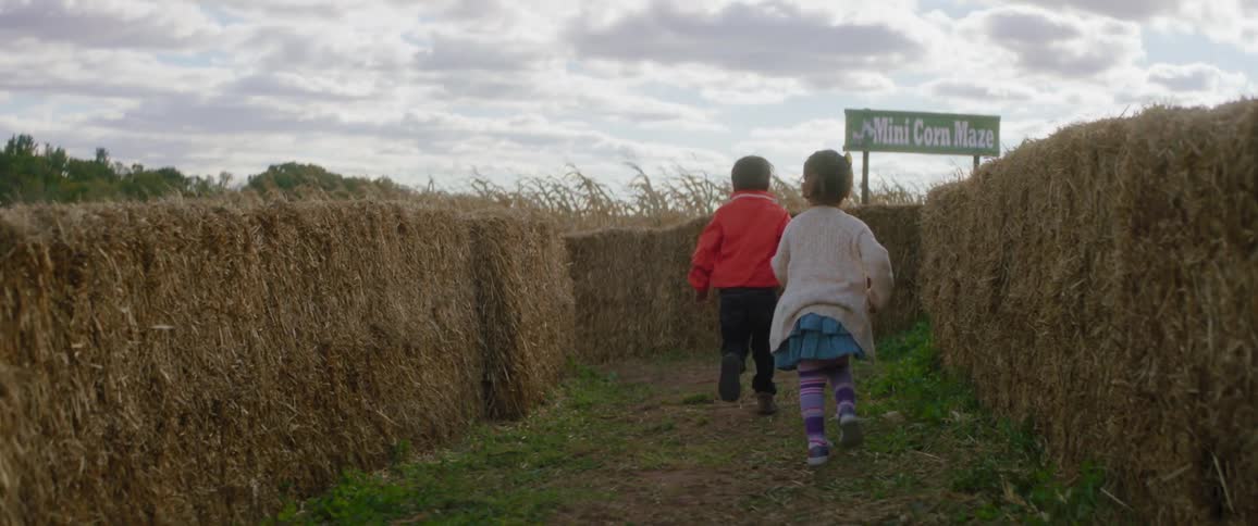 Children running through a corn maze
