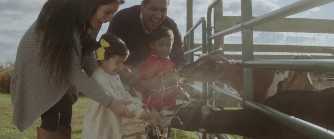 A family feeds hay to goats on a farm