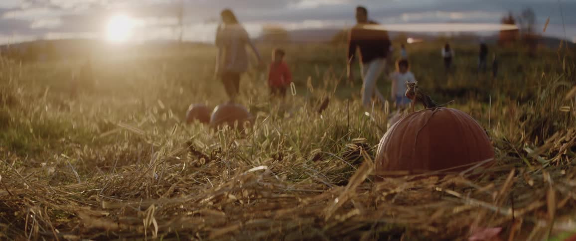 A family walks in a pumpkin patch at sunset