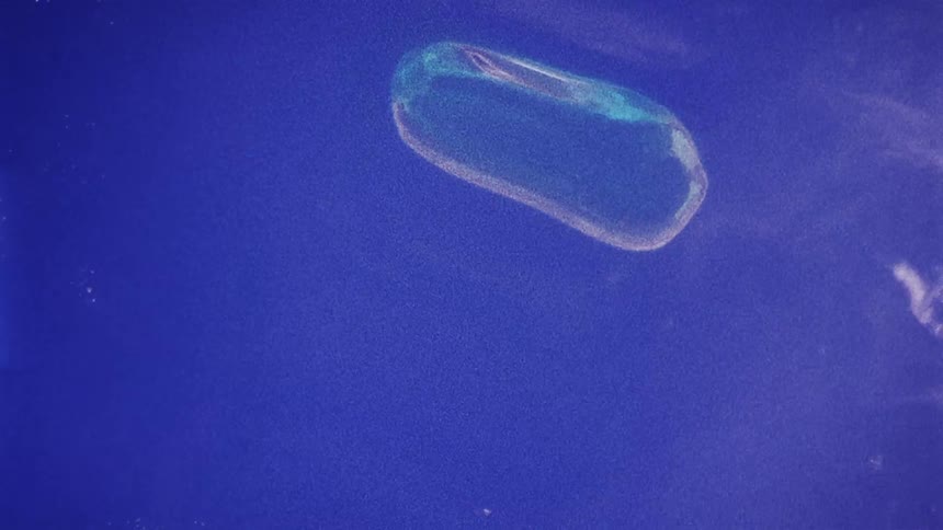 A small bubble moves around in the water