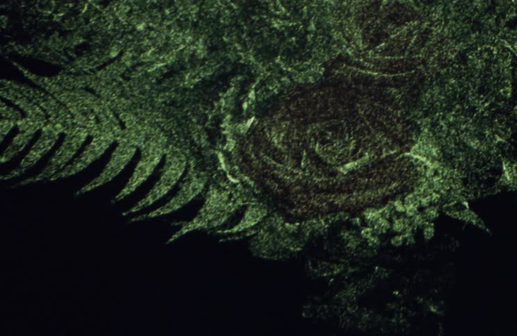 The design is a green plant