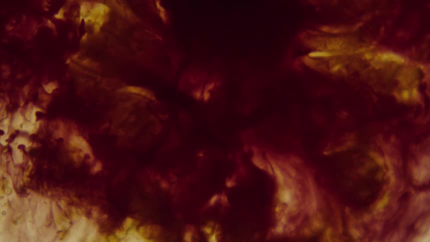 Within an amber liquid a much darker red liquid flows into it and remains suspended