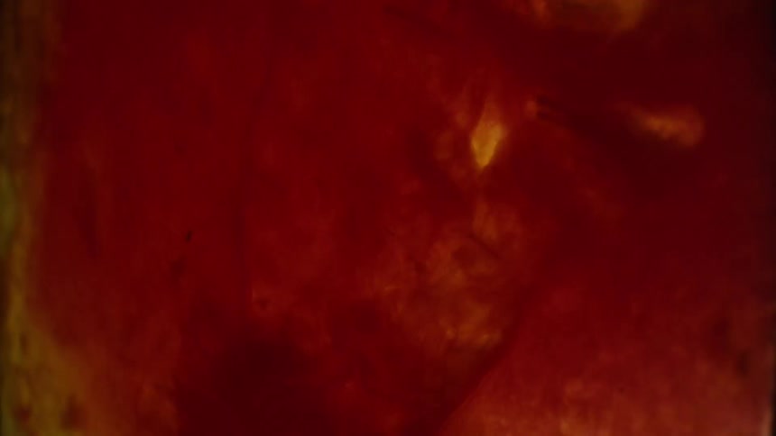 Movement of red blood