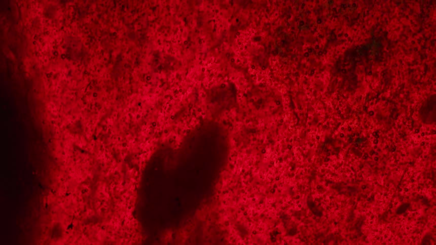 A black liquid is combined with a viscous red gel