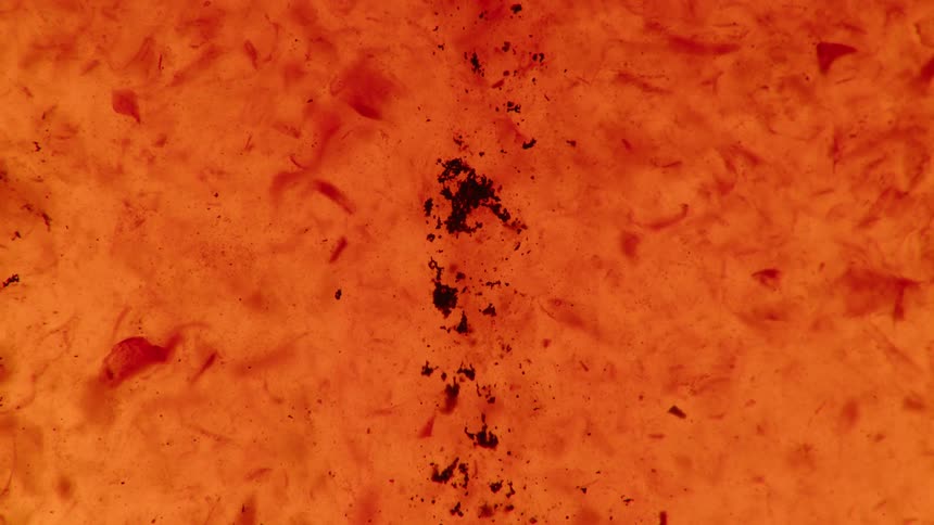 Liquid dye mixing together