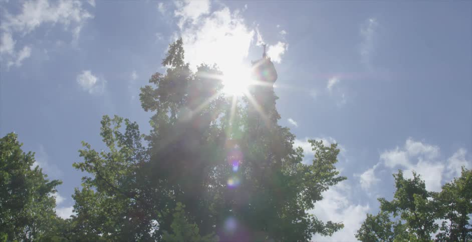 The sun shines through the trees