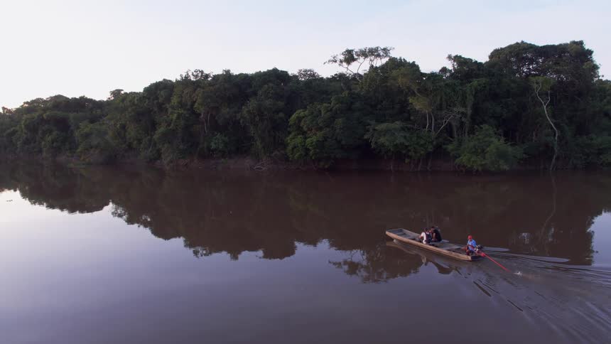 People travel in a boat in the swamp