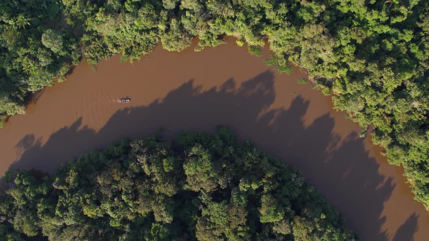 Canoe on a river through tropical rainforest