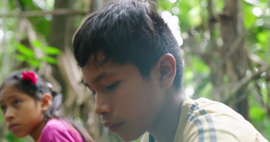 A boy chops something with a machete