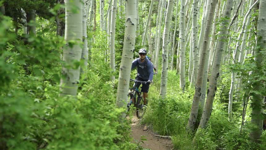 Three men ride their mountain bikes through a forest