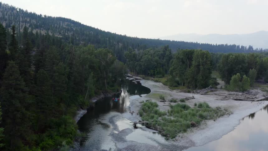 The water is calm near the forest