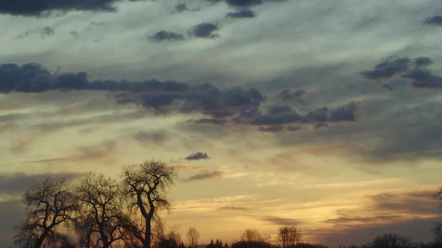 The sun sets over a forest with barren branches