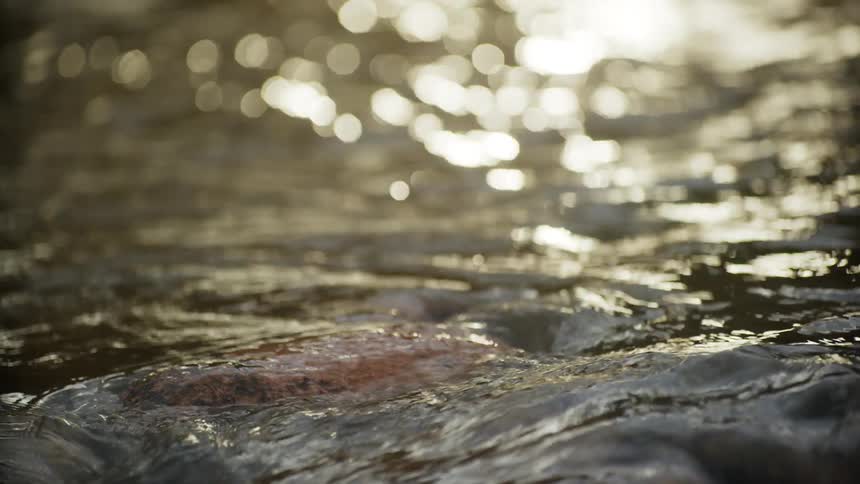 Water in a creek running over a large rock