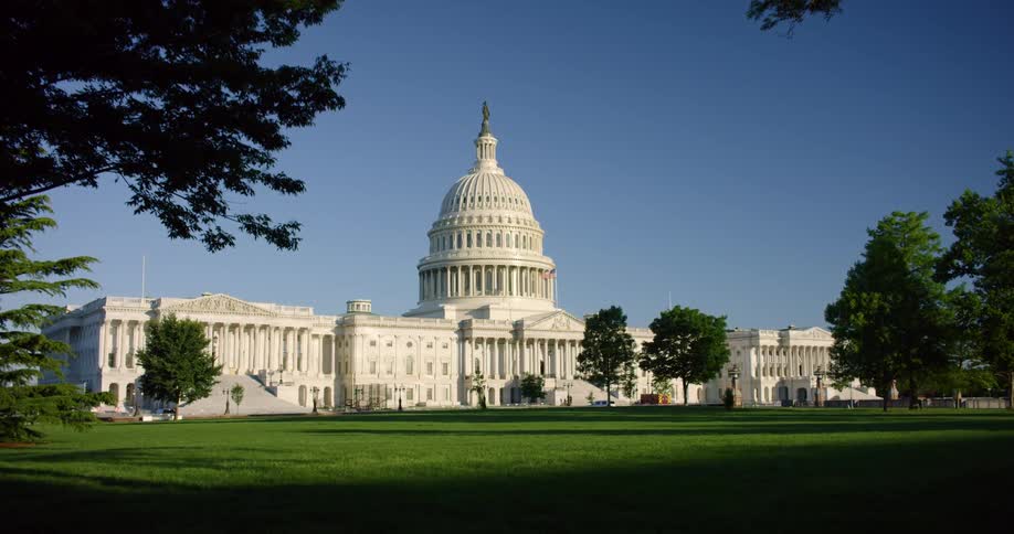 Trees and Grass in Front of the US Capitol Building