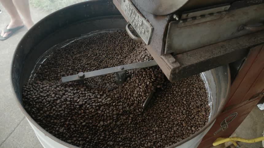 Machine stirs beans in large metal tub as person stands nearby
