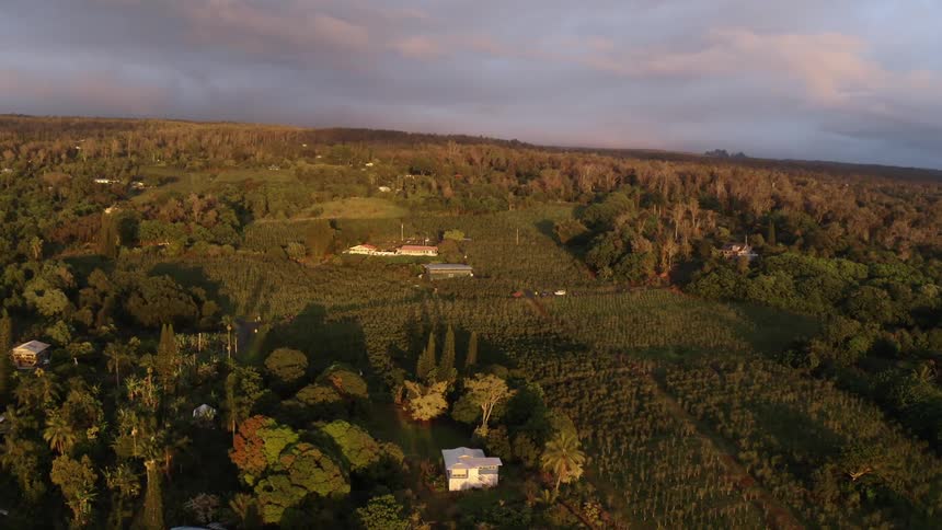 Aerial view of a grassy field in a rural area