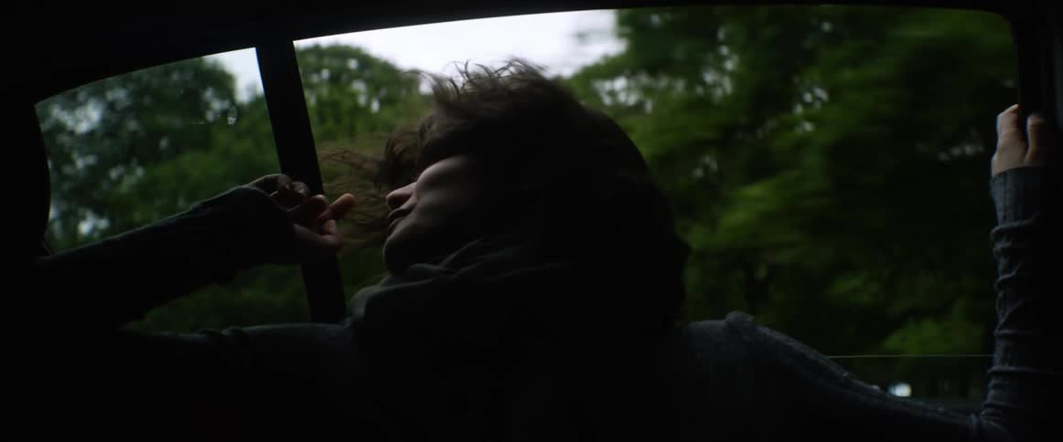 A womans hair blows in the wind as she leans out of a window in the backseat of a moving vehicle