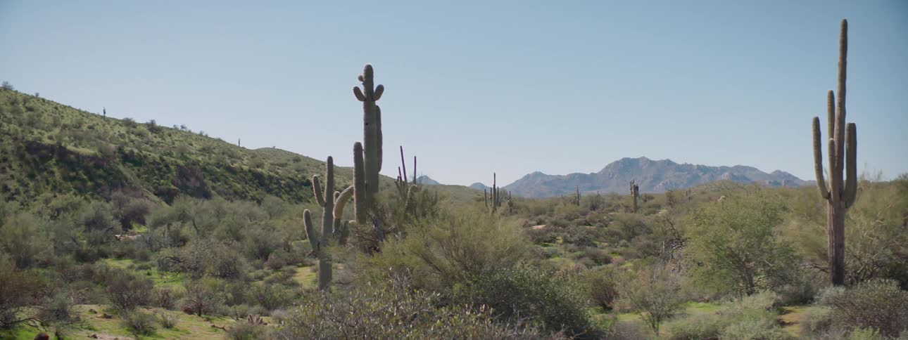 A view of a landscape is displayed at midday
