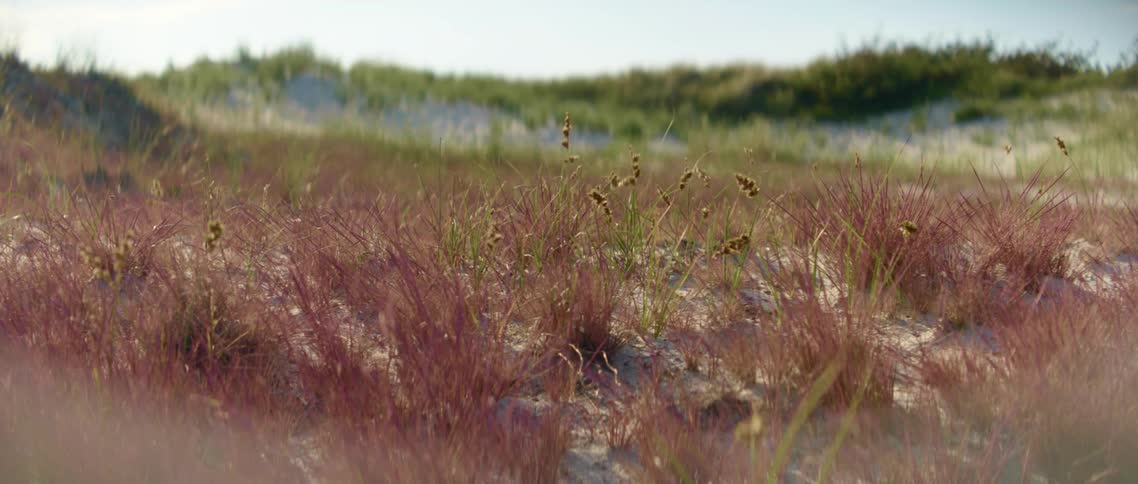 View of grasslands