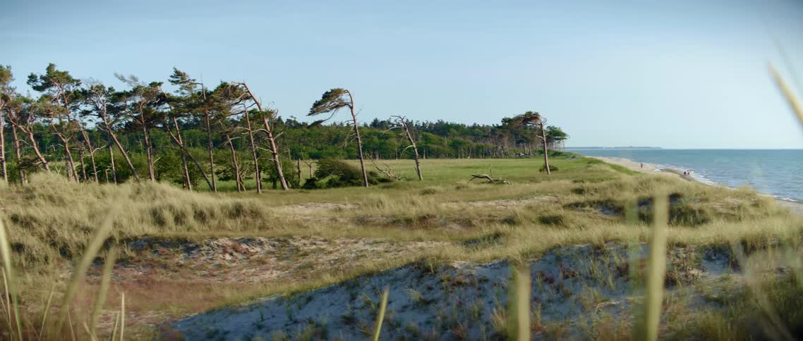 Three people are walking along a beach near some trees