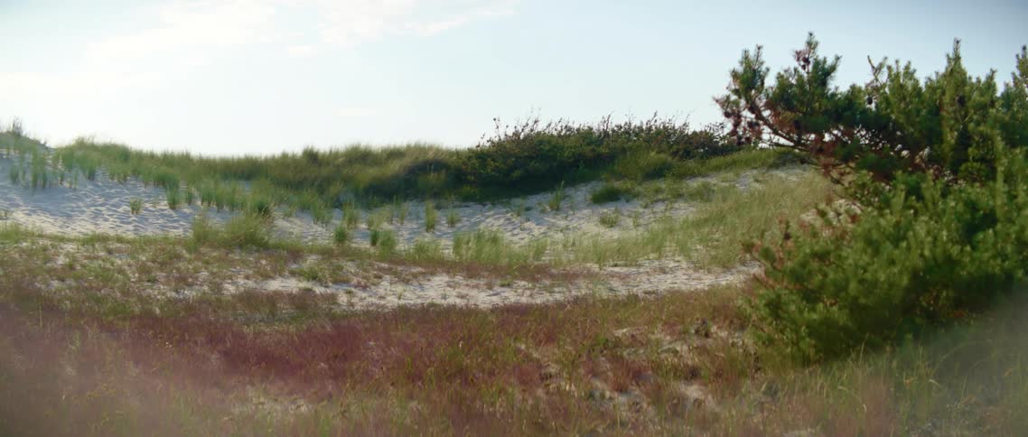 A hill covered with bushes red grass and sand under a sunny sky