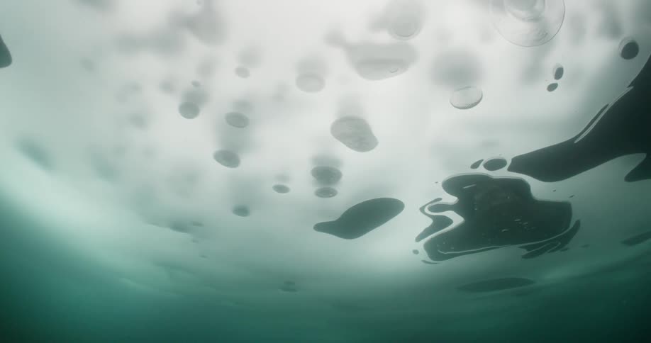 Underwater the sun is shining in through the ice